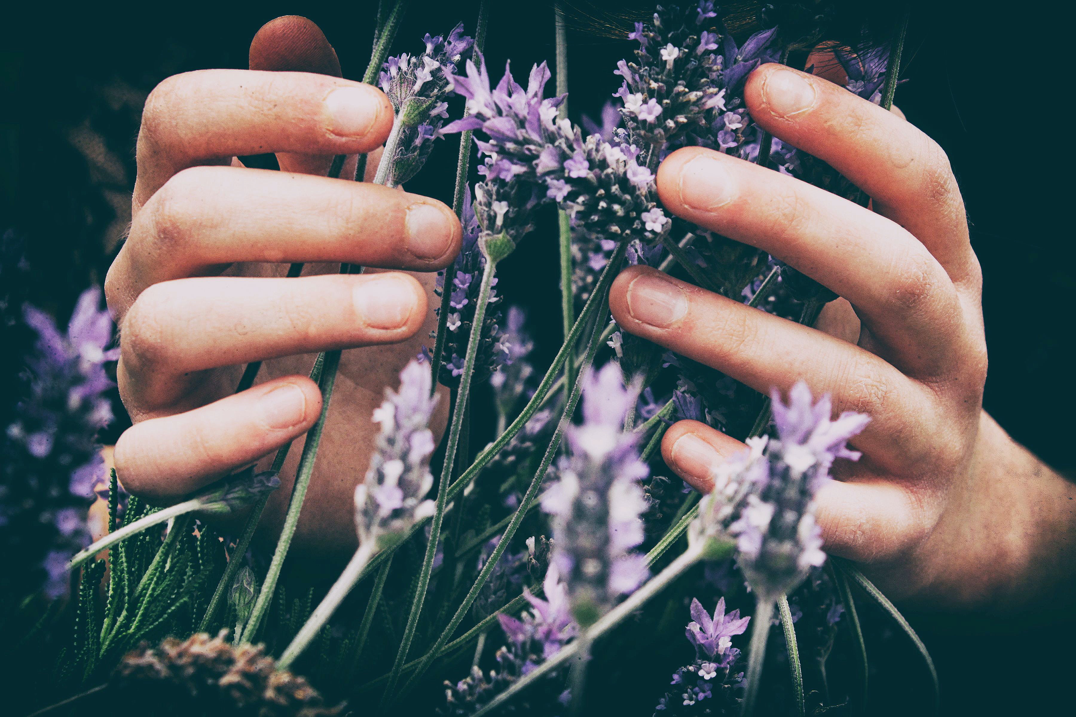Image for Wellbeing and Lifestyle